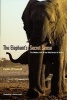 The Elephant's Secret Sense - The Hidden Life of the Wild Herds of Africa (Paperback) - Caitlin OConnell Photo