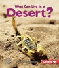 What Can Live in a Desert? (Paperback) - Sheila Anderson Photo