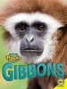 Gibbons (Hardcover) - Anita Yasuda Photo