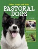 Collies, Corgis and Other Pastoral Dogs (Hardcover) - Tammy Gagne Photo