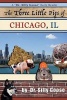 The Three Little Pigs of Chicago, Il (Paperback) - Dr Silly Goose Photo