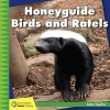 Honeyguide Birds and Ratels (Paperback) - Kevin Cunningham Photo