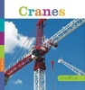 Cranes (Paperback) - Aaron Frisch Photo