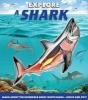 Explore a Shark (Hardcover) - David George Gordon Photo