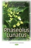 Phaseolus Lunatus - Diversity, Growth & Production (Hardcover) - Ademir Sergio Ferreira de Araujo Photo