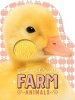 Touch and Sparkle Farm Animals (Board book) -  Photo