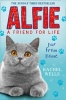 Alfie Far from Home (Paperback) - Rachel Wells Photo