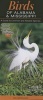 Birds of Alabama and Mississippi (Paperback) - Greg R Homel Photo