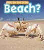 What Can Live at the Beach? (Paperback) - John Paul Wilkins Photo