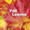 Fall Leaves (Paperback) - Erika L Shores Photo