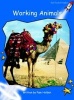 Working Animals, Level 3 - Early (Paperback, International edition) - Pam Holden Photo