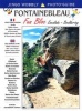 Fontainebleau Fun Bloc - Escalade - Bouldering (French, English, Paperback) - David Atchison Jones Photo