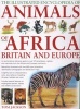 The Illustrated Encyclopedia of Animals of Africa, Britain and Europe - An Authoritative Reference Guide to Over 575 Amphibians, Reptiles and Mammals from the African and European Continents, Beautifully Illustrated with Over 850 Colour Illustrations (Har Photo