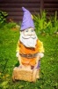 Garden Gnome with Wheelbarrow Journal - 150 Page Lined Notebook/Diary (Paperback) - Cool Image Photo