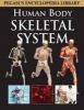 Skeletal System (Hardcover) - Pegasus Photo