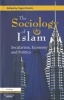 The Sociology of Islam - Secularism, Economy and Politics (Paperback) - Tugrul Keskin Photo