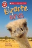 Bizarre Birds (Paperback) - Sandra Horning Photo