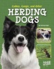 Collies, Corgies, and Other Herding Dogs (Hardcover) - Tammy Gagne Photo