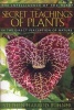 The Secret Teachings of Plants - The Intelligence of the Heart in Direct Perception to Nature (Paperback, Original) - Stephen Harrod Buhner Photo