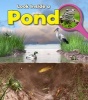 A Pond (Paperback) - Louise Spilsbury Photo