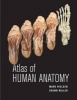 Atlas of Human Anatomy (Paperback) - Mark Nielsen Photo