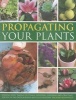 Propagating Your Plants - Sowing Seed, Taking Cuttings, Dividing, Layering and Grafting, Shown in 540 Photographs and Illustrations (Paperback) - Richard Rosenfeld Photo