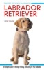 Labrador Retriever - A Complete Guide to Raising, Training and Caring for Your Labrador (Hardcover) - Becky Collins Photo