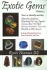 Exotic Gems, v. 2 - How to Identify & Buy Alexandrite, Andalusite, Chrysoberyl Cat's-Eye, Kyanite, Common Opal, Fire Opal, Dinosaur Gembone, Tsavorite, Rhodolite & Other Garnets (Paperback) - Renee Newman Photo