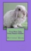 Even More Tales from Hunter Hollow - Buttons' Book (Paperback) - Annie Laurie Hunter Photo