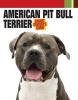 American Pit Bull Terrier (Paperback) - Dog Fancy Magazine Photo