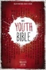 Youth Bible - NIrV (Hardcover, Anglicised ed) - Zondervan Photo