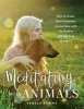 Meditating with Animals - How to Create More Conscious Connections with the Healers and Teachers Among Us (Paperback) - Pamela Robins Photo