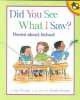 Did You See What I Saw? (Paperback) - Kay Winters Photo