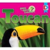 Animals of the Amazon Rainforest - Toucan (Hardcover) - Katie Gillespie Photo