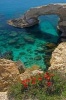 Ayia Napa Rock Arch in Cyprus Journal - 150 Page Lined Notebook/Diary (Paperback) - Cool Image Photo