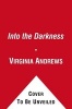 Into the Darkness (Hardcover, Library edition) - Virginia Andrews Photo