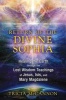 Return of the Divine Sophia - Healing the Earth Through the Lost Wisdom Teachings of Jesus, Isis, and Mary Magdalene (Paperback) - Tricia McCannon Photo