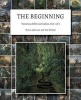 The Beginning - Victorious Bible Curriculum, Part 1 of 9 (Paperback) - Joe Anderson Photo