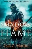 Shadow and Flame (Paperback) - Gail Z Martin Photo