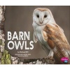 Barn Owls (Hardcover) - Melissa Hill Photo