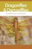 Dragonflies and Damselflies of Georgia and the Southeast (Paperback) - Giff Beaton Photo