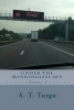 Under the Meaningless Sky (Paperback) - A T Turgu Photo