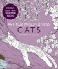 Art for Mindfulness Cats (Paperback) - Liz Yee Photo