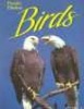 Florida's Fabulous Birds: Land Birds: Their Stories (Paperback, 1st ed) - Winston Williams Photo