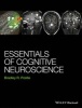 Essentials of Cognitive Neuroscience (Hardcover) - Bradley R Postle Photo