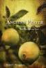 Ancient Prayer - Channeling Your Faith 365 Days of the Year (Hardcover) - Rachel C Weingarten Photo