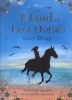 The Island of Lost Horses (Hardcover) - Stacy Gregg Photo