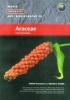 World Checklist and Bibliography of Araceae (and Aroracoae) (Paperback) - Rafael Govaerts Photo