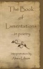 The Book of Lamentations - ...in Poetry (Hardcover) - Ahava Lilburn Photo