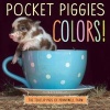 Pocket Piggies Colours! - Featuring the Teacup Pigs of Pennywell Farm (Board book) - Richard Austin Photo